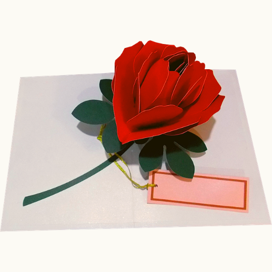 Birthday Card